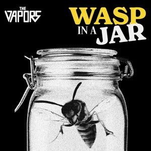 Wasp in a jar